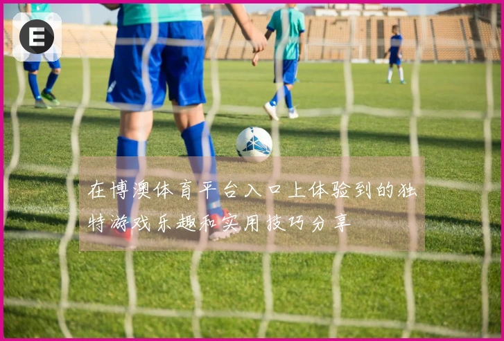 在博澳体育平台入口上体验到的独特游戏乐趣和实用技巧分享