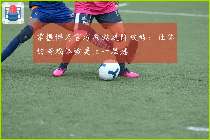 掌握博万官方网站进阶攻略，让你的游戏体验更上一层楼