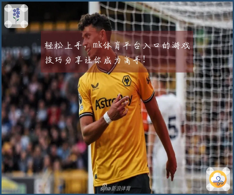 轻松上手，mk体育平台入口的游戏技巧分享让你成为高手！