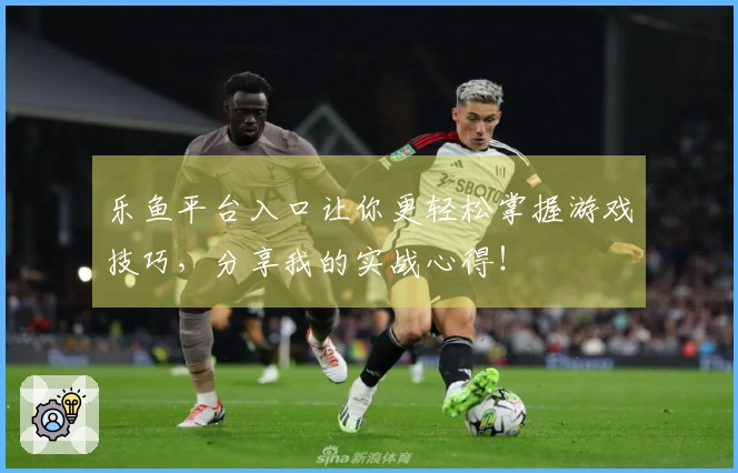 乐鱼平台入口让你更轻松掌握游戏技巧，分享我的实战心得！